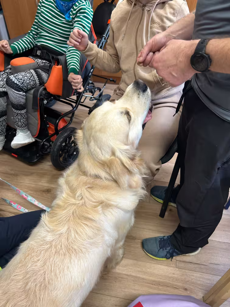Dogoterapia dla osób niepełnosprawnych